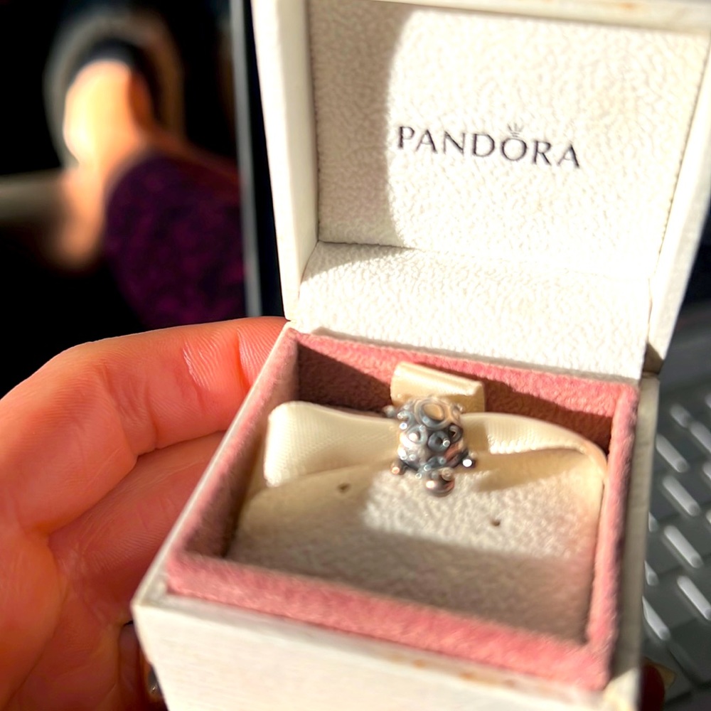 Pandora Turtle Charm